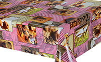 Table Cover - Printed Table Cover - Europe Design Table Cover - BS-8009B